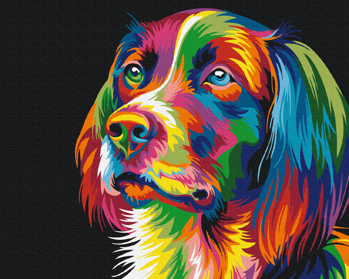 Painting by numbers Rainbow dog