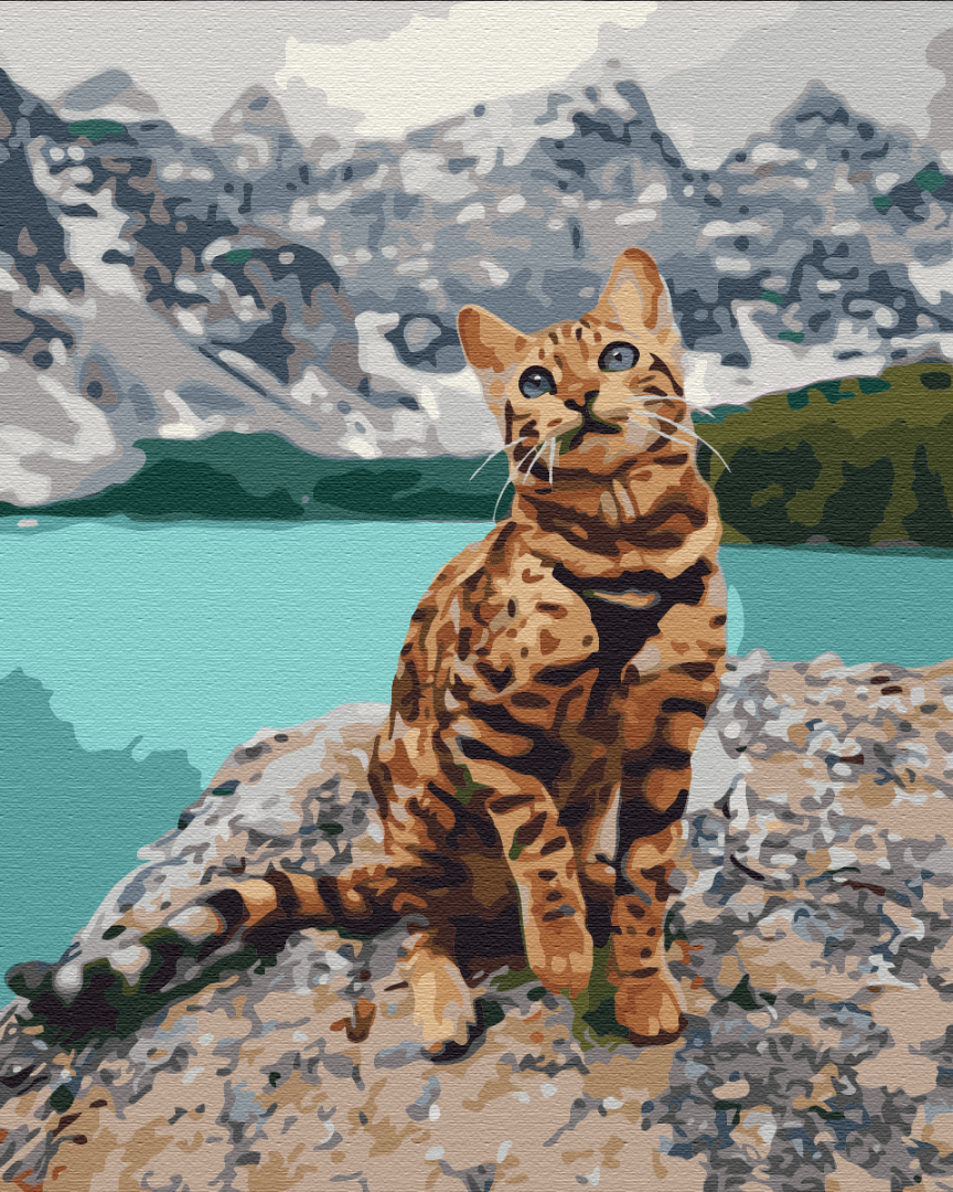 Painting by numbers Pet in the mountains