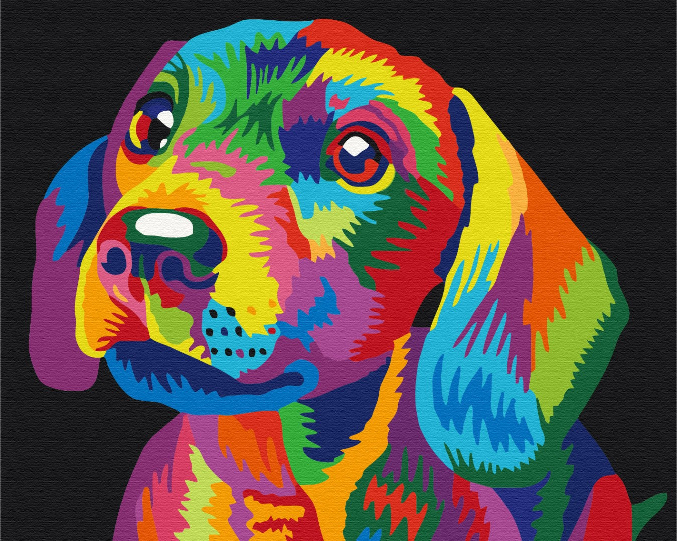 Painting by numbers Rainbow dog