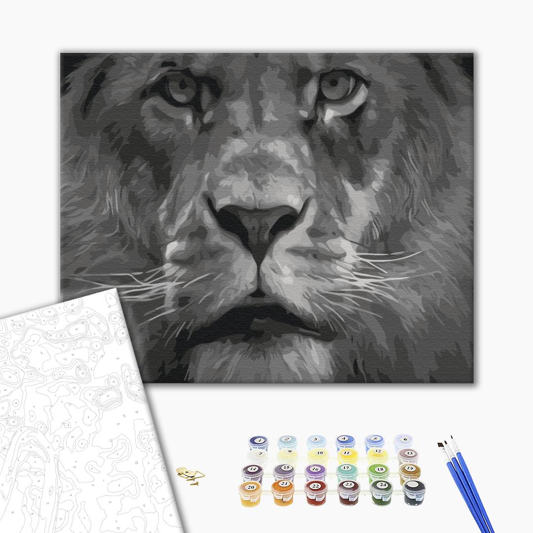 Painting by numbers Lion in black and white tones