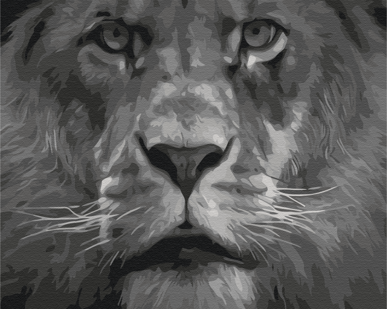 Painting by numbers Lion in black and white tones