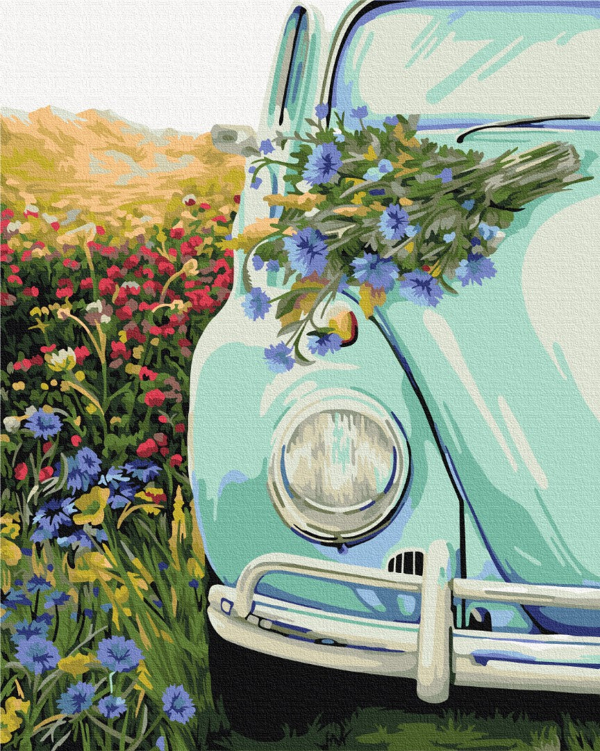 Painting by numbers Retro in the field