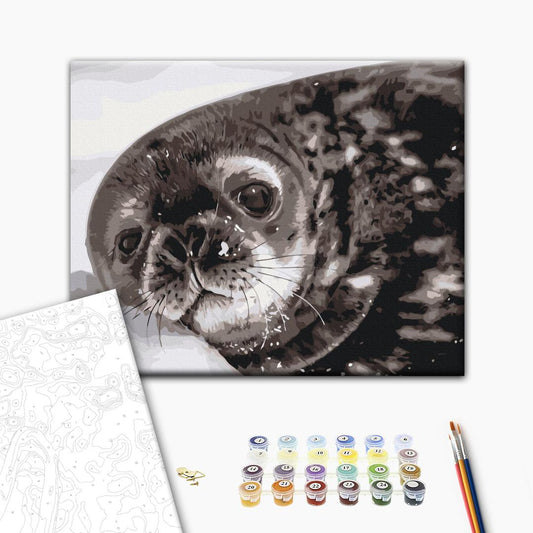 Painting by numbers Weddell seal cub © Serhiy Glotov