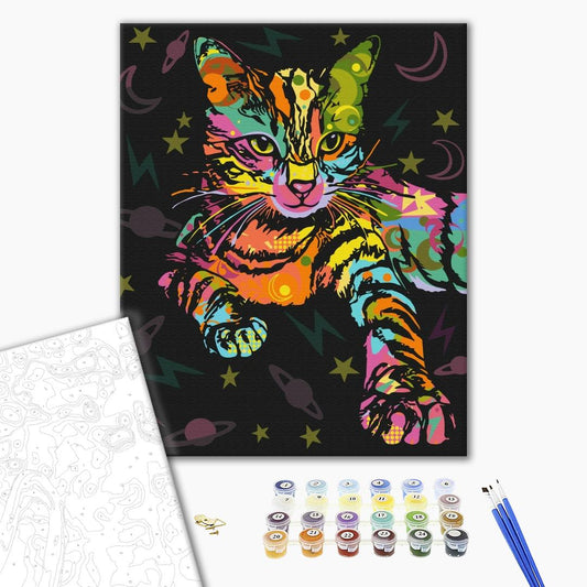 Painting by numbers Space cat