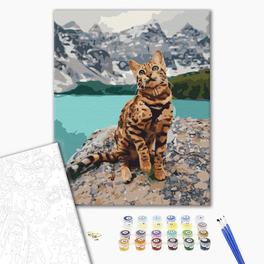 Painting by numbers Pet in the mountains