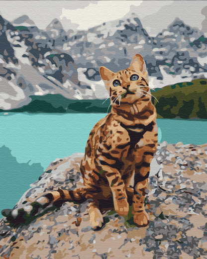 Painting by numbers Pet in the mountains