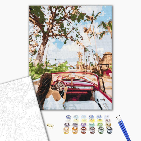 Painting by numbers The streets of Cuba