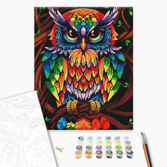 Painting by numbers Rainbow wise owl