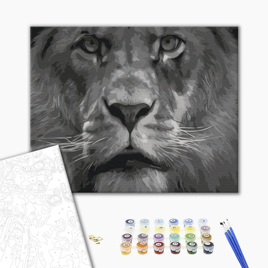 Painting by numbers Lion in black and white tones